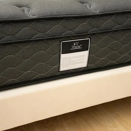 Clim Cocon Urbain Studio2 Premium Et Cosy Comfort Toulouse
